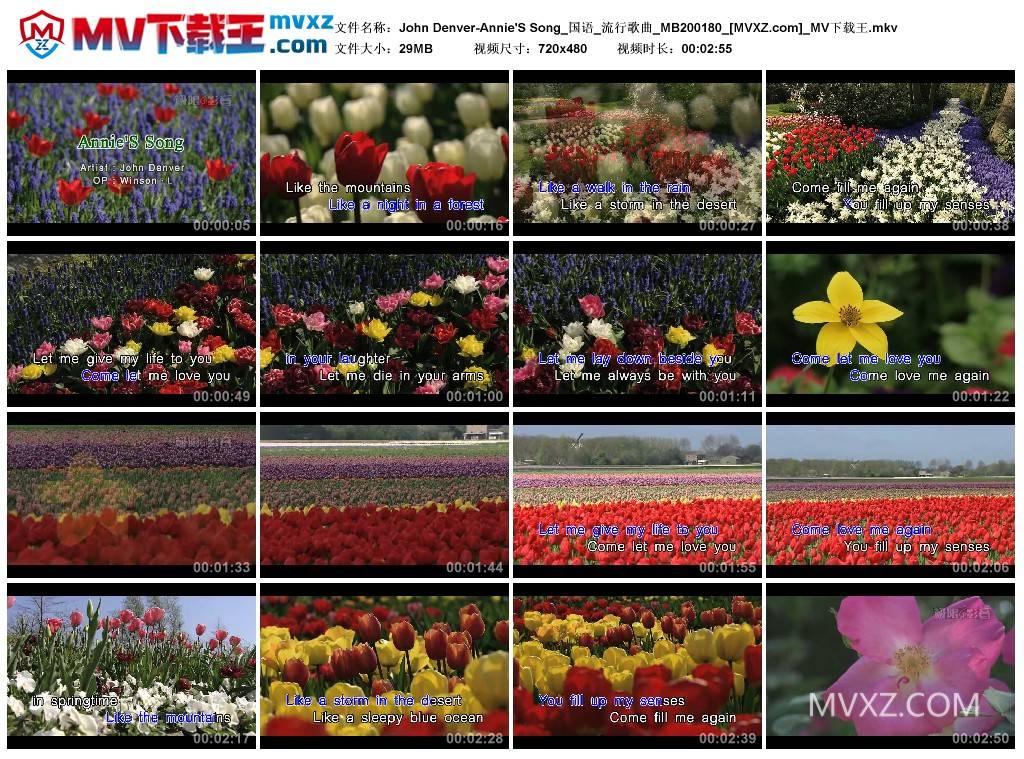 John Denver-Annie'S Song_国语_流行歌曲_MB200180